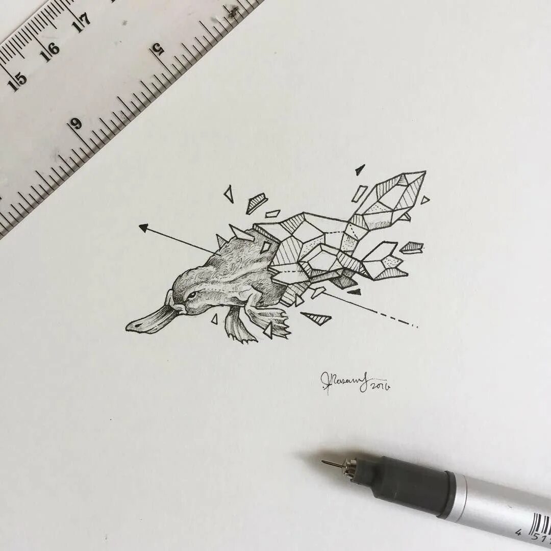 Рисунки ручками тату. Kerby rosanes геометрические животные тату. геометрические животные керби розанес. kerby rosanes рыбка. рисунки ручкой эскизы.