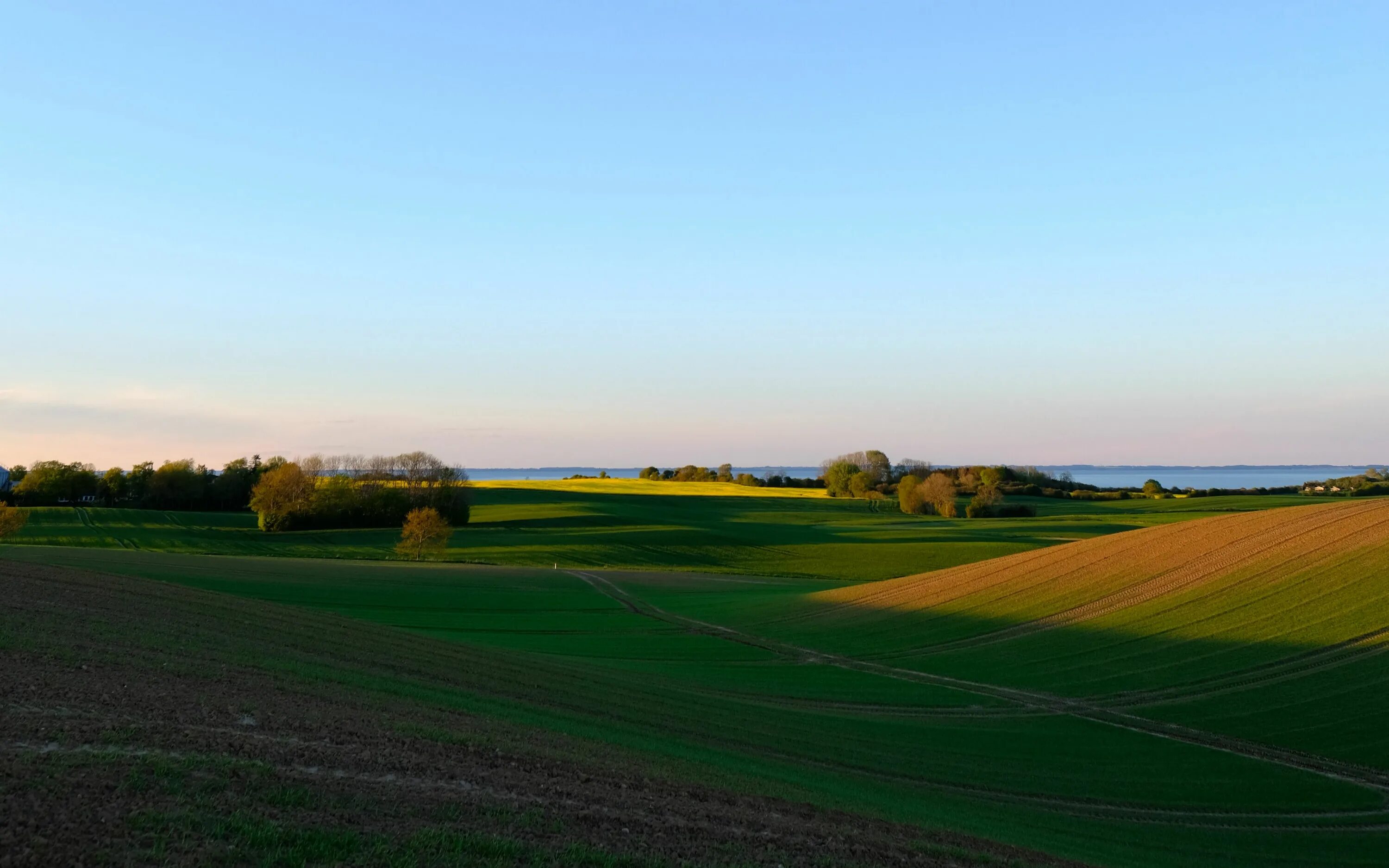 Better fields. Better fields