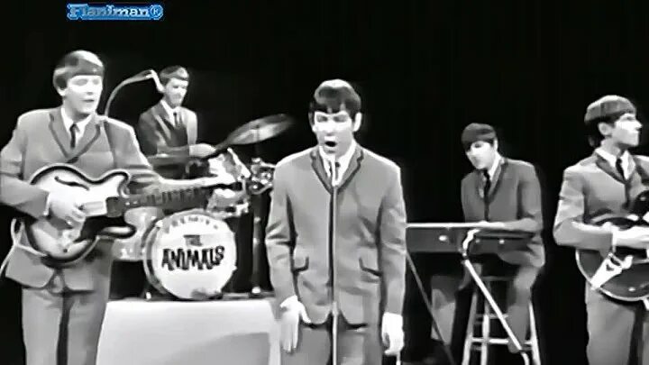 Энималс дом восходящего. Группа the animals. Группа the animals дом восходящего солнца. The animals - House of the Rising Sun (Live on the ed Sullivan show, October 18, 1964). Энималс слушать дом