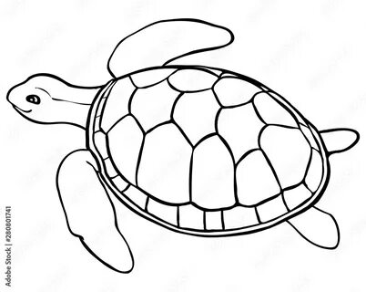 Contour turtle - coloring page for kids, line art Векторный объект Stock Adobe S