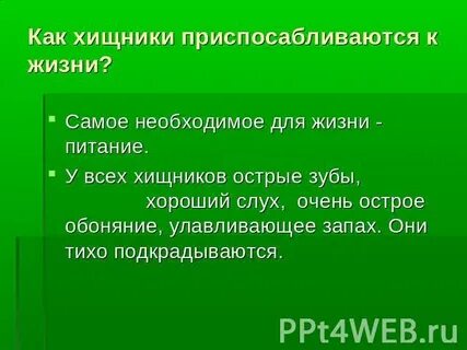 Как пишется слово хищный