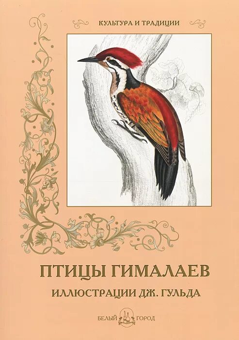 Птицы гималаев. Птицы гималайских гор. Птицы на страницах книг. Белый город птицы Азии.