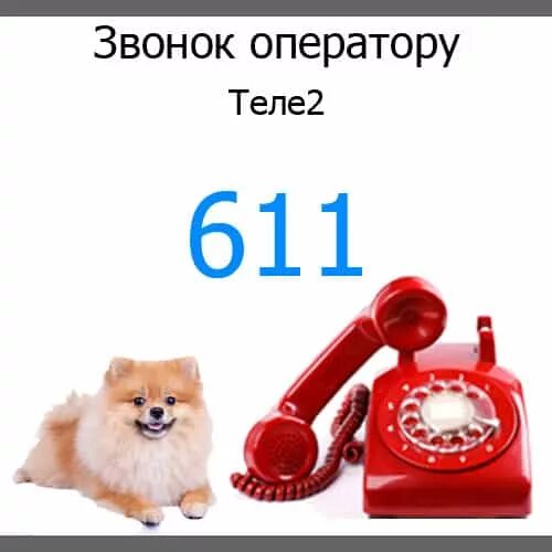 Как позвонить оператору теле2. Оператор теле2 позвонить. Теле оператор как позвонить. Теле позвонить оператору.