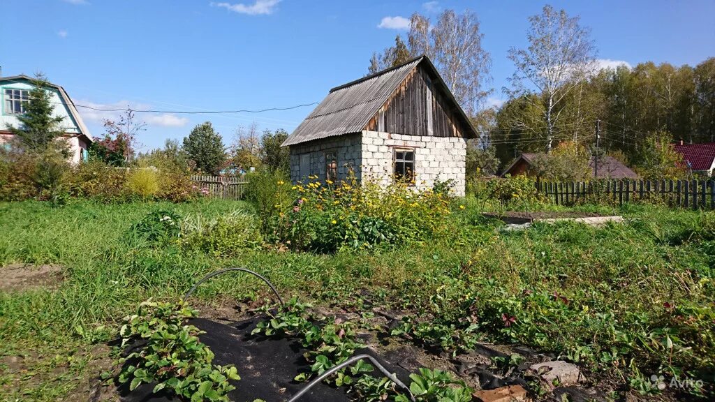 Купить участок искитимский район