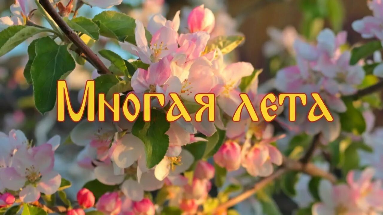 Многая лета как ответить. Многая и благая лета. многая лета поздравление. многая и благая лета поздравления с днем рождения. многая лета поздравление с днем рождения.