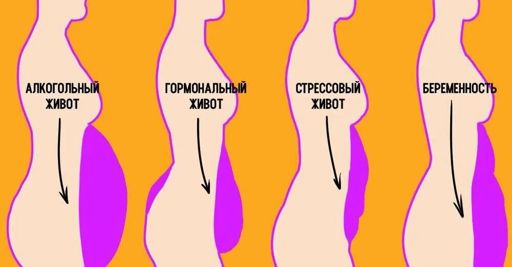 Почему растет живот. Гормональный живот. типы живота у женщин. стрессовый живот. стрессовый живот у женщин.