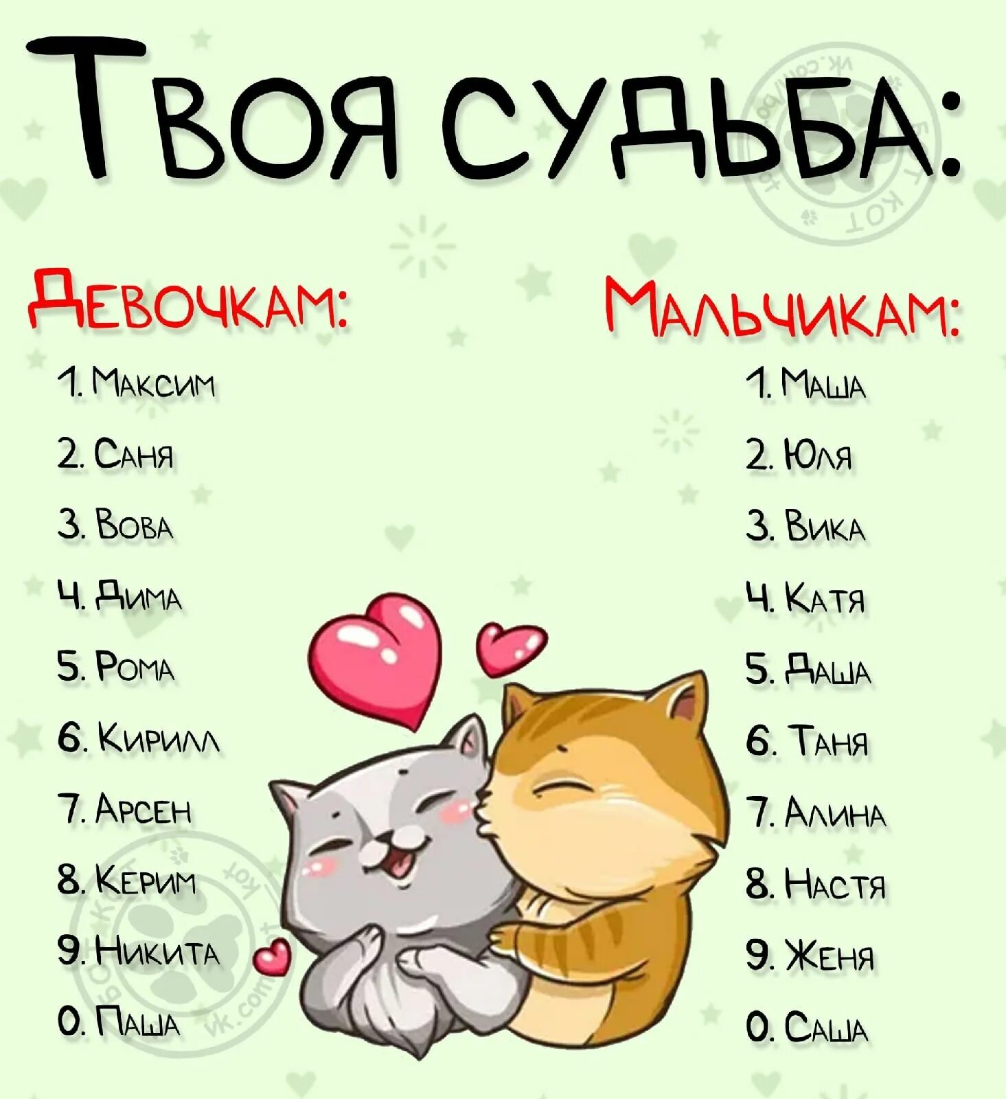 Имена для кошек. Красивые клички для котов. Красивые имена для котиков. Красивые клички для котят.