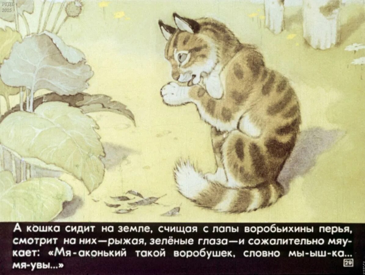 Горький воробьишко распечатать текст. Иллюстрации к сказке воробьишко горького. сказка воробьишко горький.
