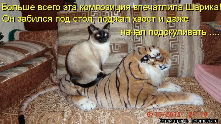 Женщины знают где промолчать надо. Какая ты зараза. Зараза картинка смешная. Люблю тебя зараза моя. Вот такая я зараза.