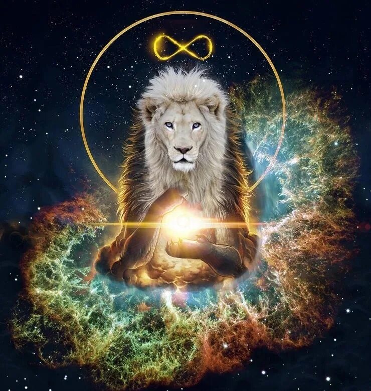 Планетарный новый год и врата льва. Практика врата льва. Национальный парк серенгети танзания. 07. Врата льва 2022 года.