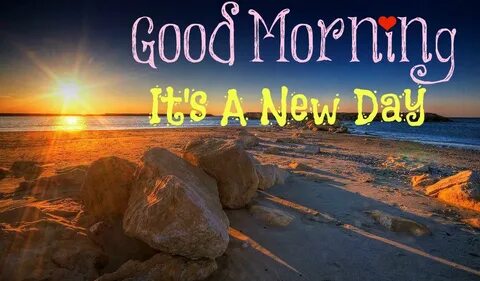 Good new day