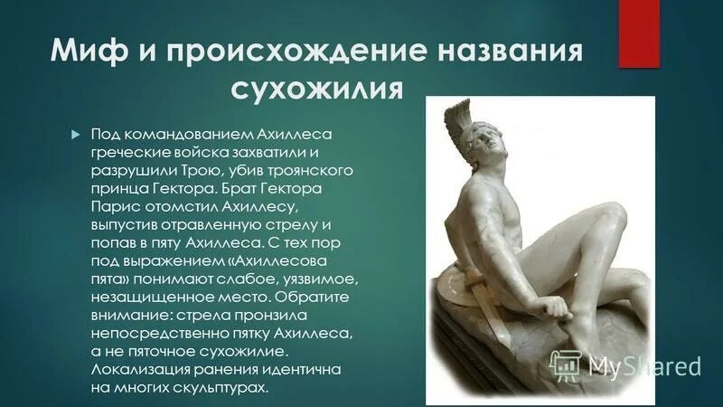 ахиллес характеристика