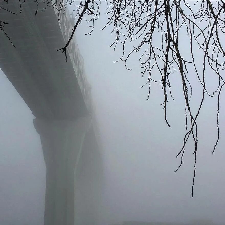 Санкт-петербург туман. Самый туманный город в россии. Питер васильевский остров туманное утро. Туман над невой. Туман над питером.