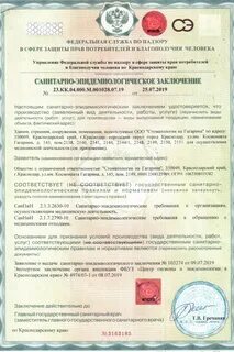 Заключение 2019