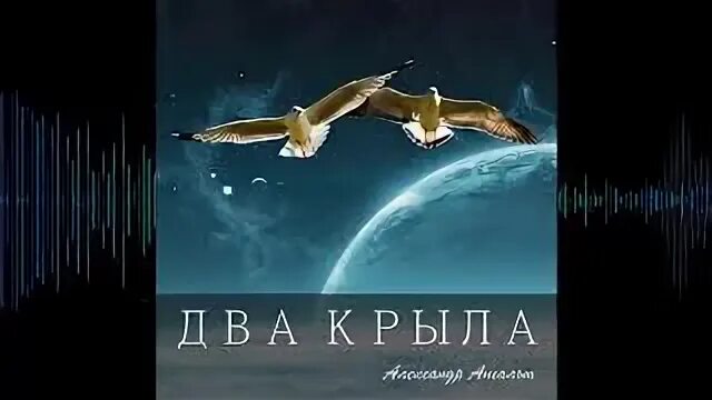 Два крыла на двоих gazan