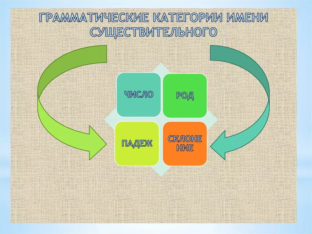 Грамматические категории существительного. Категории имени существительного. Грамматические категории имени существительного. Грамматические категоиии сущ.