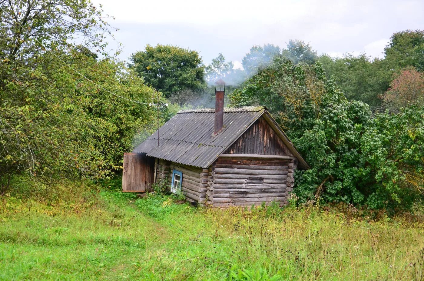 ольховка нижегородская область. без новгородская область. репищи. новгородская область окуловский район деревня висленев остров. заброшенные деревни новгородской области.