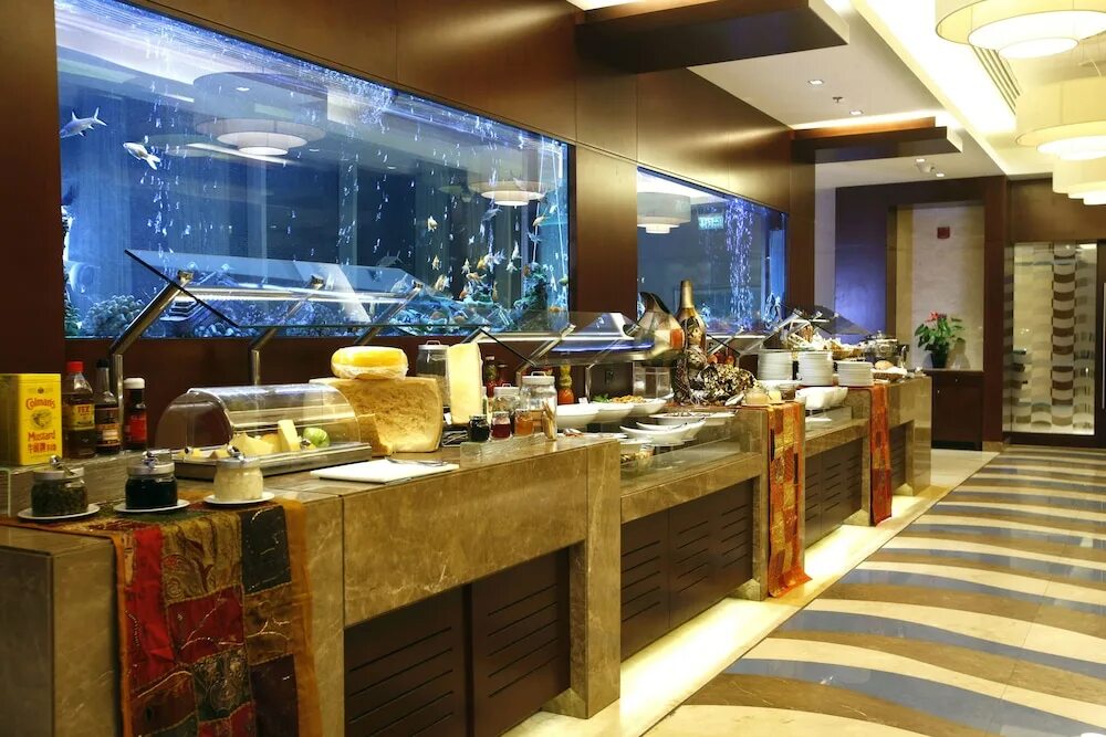 Oceanic khorfakkan resort spa оаэ. Океаник корфаккан резорт оаэ. отель в дубае океаник. фуджейра океаник корфаккан резорт спа. оаэ oceanic khorfakkan resort &amp; spa 4* фуджейра / корфаккан.