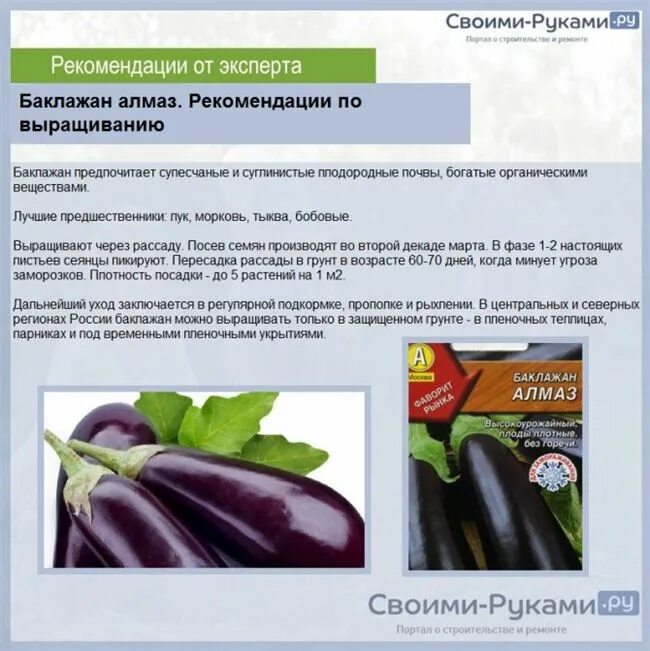 Какую почву любят баклажаны. Баклажан алмаз схема посадки. баклажан рассада формирование. удобрение для баклажан в открытом грунте. баклажаны для открытого грунта.