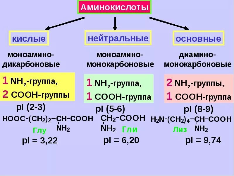 Амины группы б. PH аминокислот формула. Классификация аминокислот клетки. Нейтральные аминокислоты формулы. Кислотность растворов аминокислот.