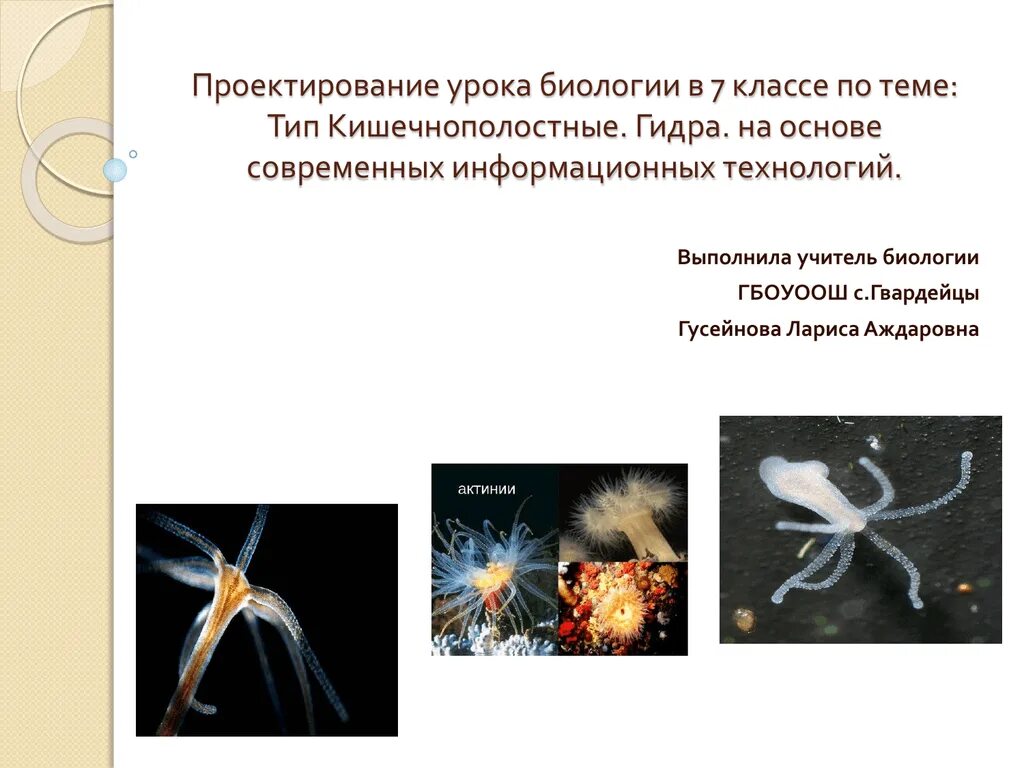 Как размножаются кишечнополостные. Гидра тип биология. презентация кишечнополостные гидра. кишечнополостные представители. гидра урок биологии.