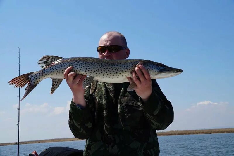 лефу рыбалка в приморье. улов 25 приморский край рыбалка. лефу владивосток. река лефу. лефу владивосток.