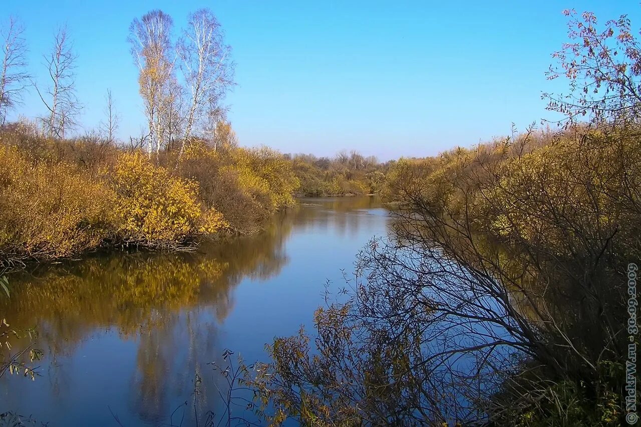 Река иня тогучин. Красная иня. Село иня горный алтай. Красная иня. Иня (нижний приток оби).