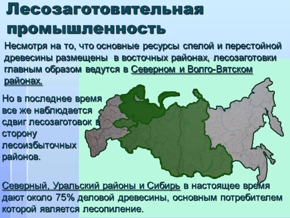 Деревообрабатывающая промышленность центры. Районы лесозаготовок. Основные районы лесозаготовок. Районы лесозаготовки в России. Основные районы лесозаготовок в России.