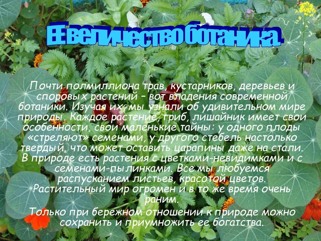 Сообщение о науке ботаника. Ботаника это наука изучающая. проект ботаника наука о растениях. что изучает ботаника в биологии. ,jnfybrf- yferf j hfcntybz[- ghjtrn.
