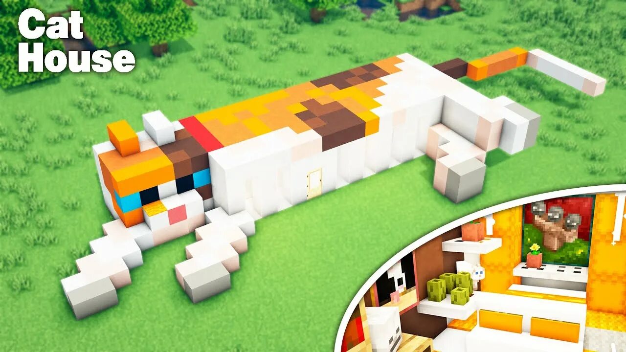 Build a cat