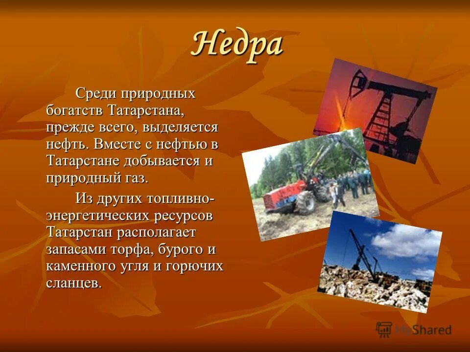 Какие ископаемые в татарстане. Природные богатства Татарстана. Природные достопримечательности и богатства Татарстана. Татарстан природные богатства проект. Природные ресурсы Татарстана кратко.