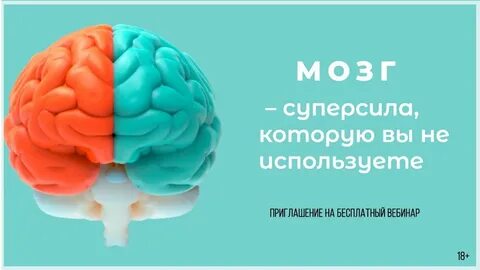 Мозг жизнь