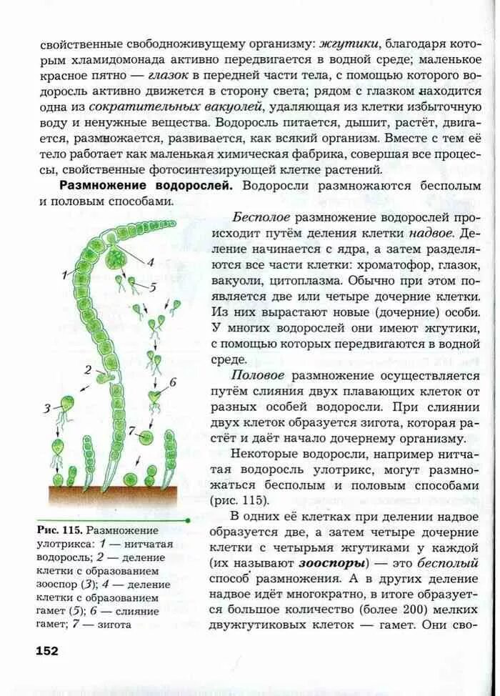 Биология 6 класс учебник водоросли. Рис учебника биологии. учебник по биологии 6 класс водоросли. водоросли биология 6 класс пономарева. биология 6 класс учебник пономарева корнилова кучменко читать онлайн.