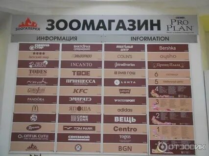 Стан часы работы