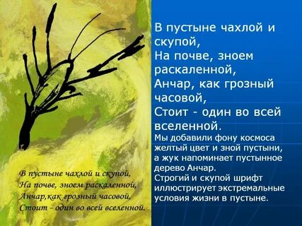 Анчар тропы