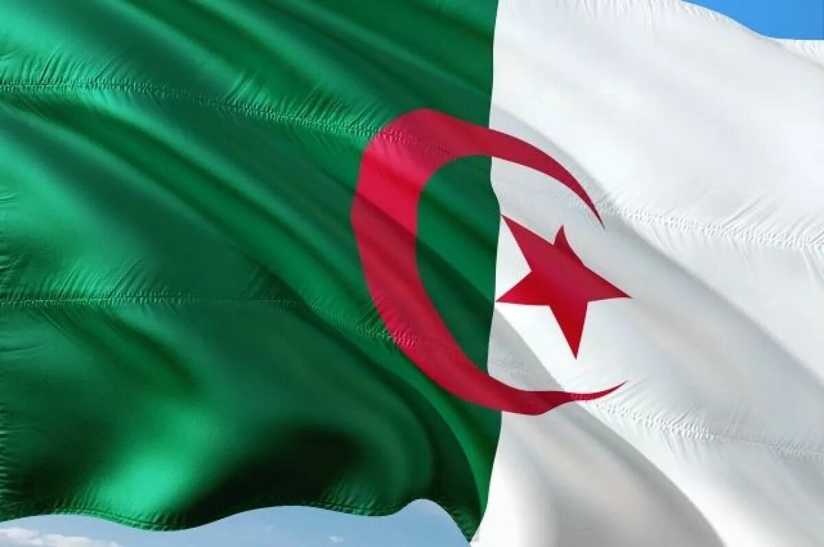 Алжир и сша. Флаг algeria. гос флаг алжира. алгерия флаг. флаг алжира 1914.