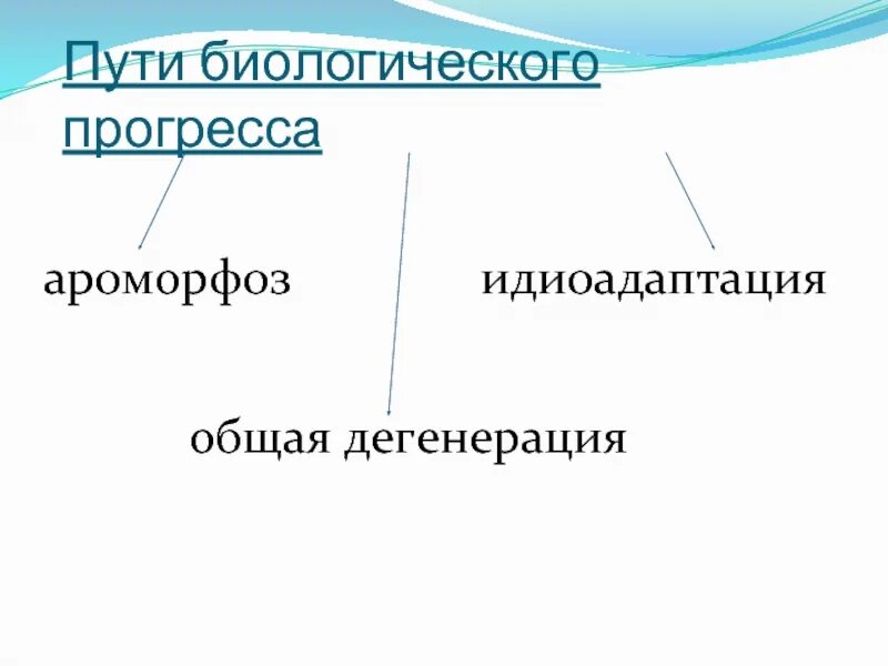 Выберите прогресс дегенерации. Пути биологического прогресса. Пути биологического прогресса ароморфоз. Биологический Прогресс ароморфоз идиоадаптация общая дегенерация. Макроэволюция биологический Прогресс.