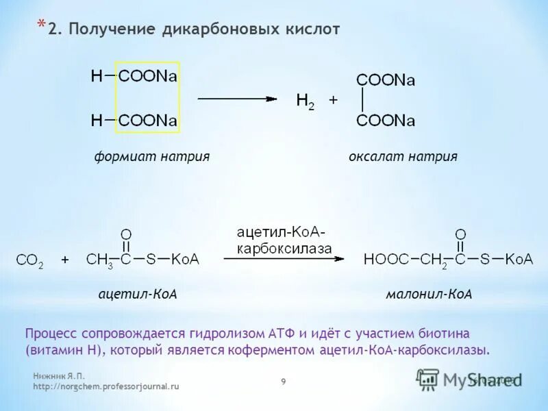 Синтез дикарбоновых кислот. Формиат натрия в оксалат натрия. Ацетил КОА карбоксилаза. Кофермент ацетил-КОА карбоксилазы. Муравьиная кислота и соляная кислота реакция