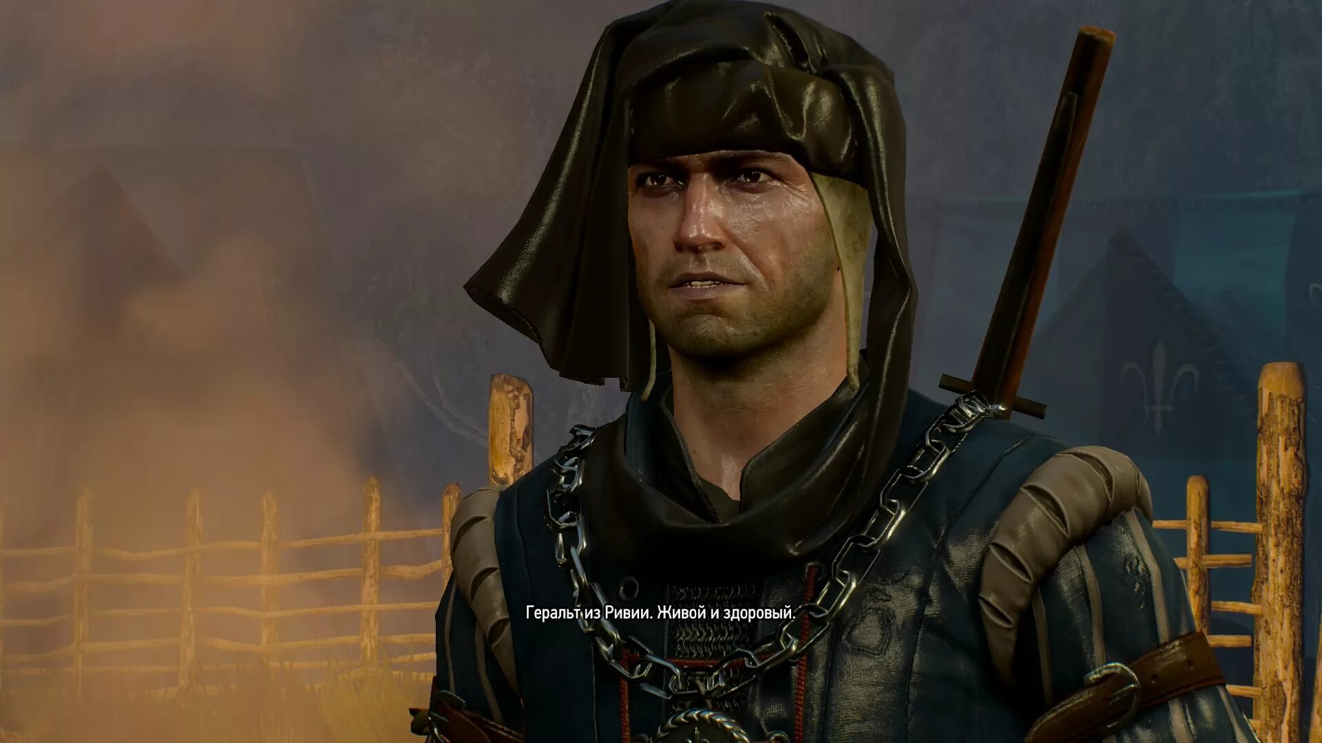 Цири - фалька ведьмак. Риенс ведьмак гвинт. Цири крысы фалька. Принцесса фалька ведьмак арт. Фалька гвинт.