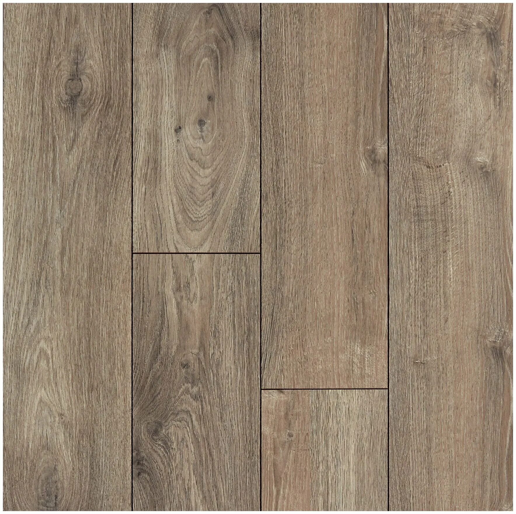 My step. Ламинат kronopol aurum symfonia d4532. My step terra дуб вена ms128. Ламинат my step terra дуб ватикан ms138. My step.