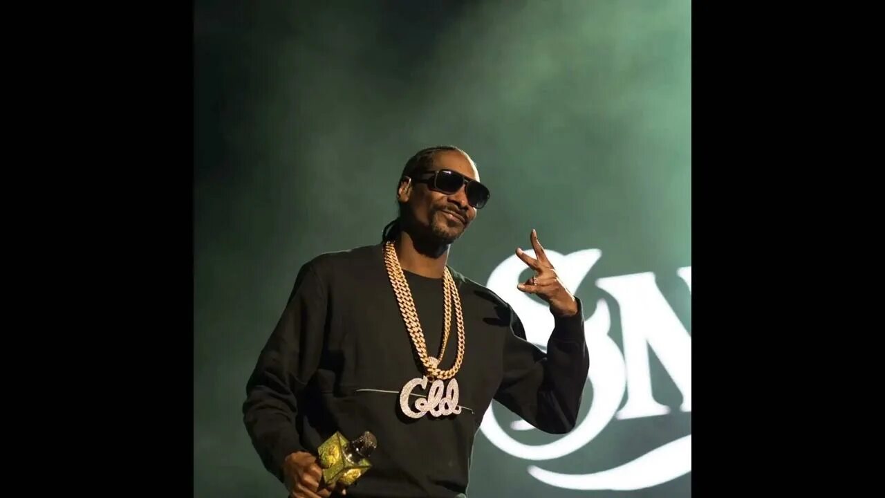 Snoop dogg. Снуп дог cod. Снуп дог 2020. Snoop dogg синий. Костюм снуп дога на супербоул.