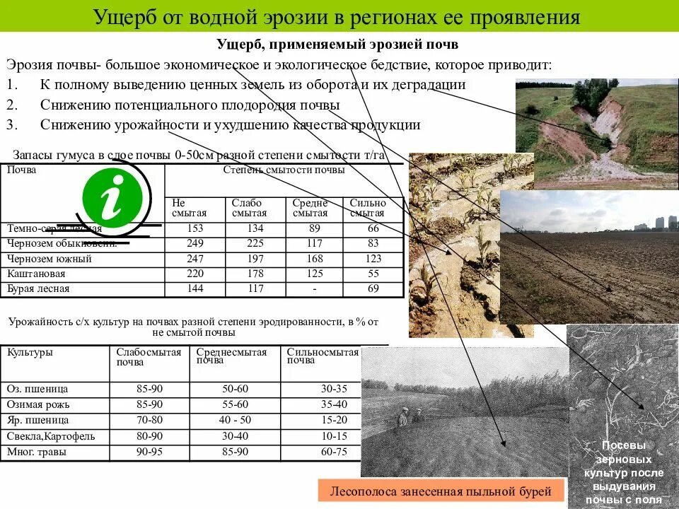 Методика вред почвы. Ущерб от эрозии почв. Степень эродированности почв. Назовите экономический ущерб от эрозии почв.. Эрозия и дефляция почв.