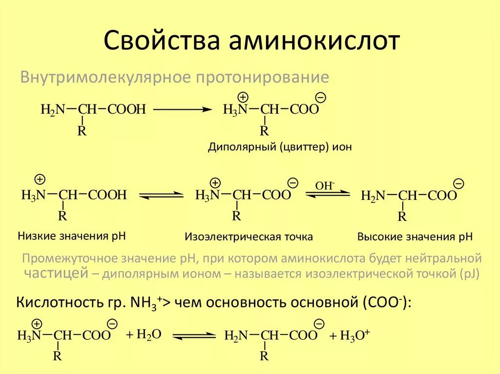 Физические свойства аминокислот аминокислот. Химические свойства аминокислот кислотные. Основные св ва аминокислот. Химические свойства α-аминокислот.