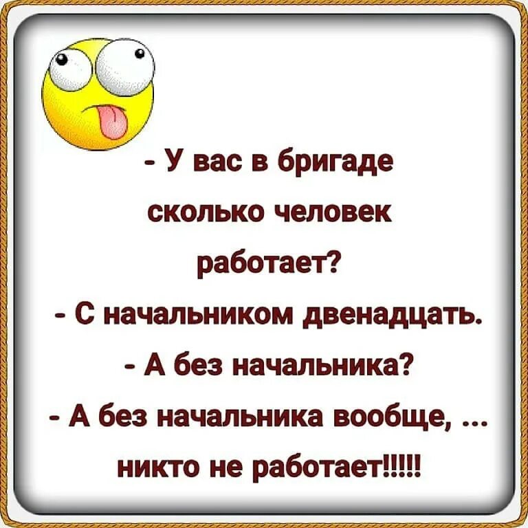 Анекдот про сколько. Приколы про начальство. Сколько человек у вас работает?. Шутки про начальника. Сколько вас работает с начальником.