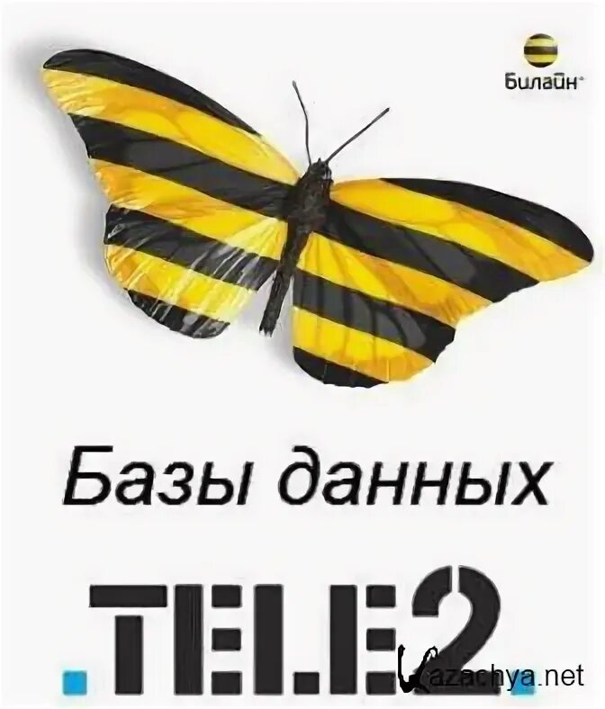 Билайн теле 2 это. Мтс мегафон билайн теле2 йота. Перевести деньги с tele2 на билайн. Логотип сотовой связи. Билайн теле 2 это.