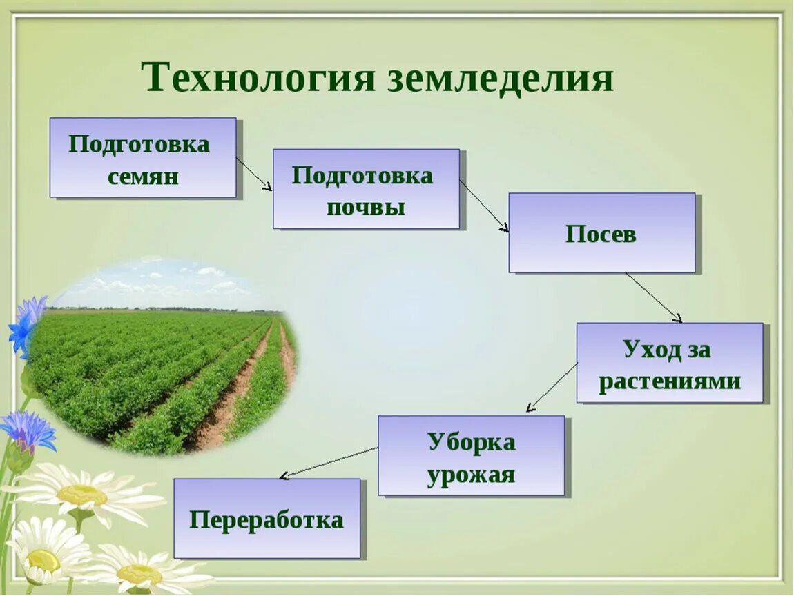 Сельскохозяйственные технологии 5 класс. Технологии земледелия. Земледелие схема. Структура земледелия схема. Схема отрасли растениеводства.