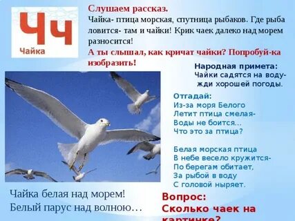 Рассказ под чаек
