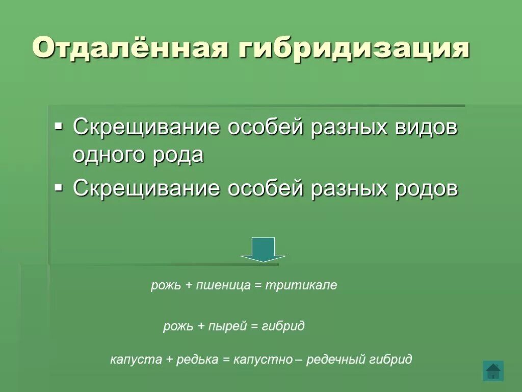 Отдаленная гибридизация примеры. Отдаленная гибридизация. Отдаленное скрещивание растений. Отдаленная гибридизация растений и животных. Отдаленное скрещивание в селекции растений.