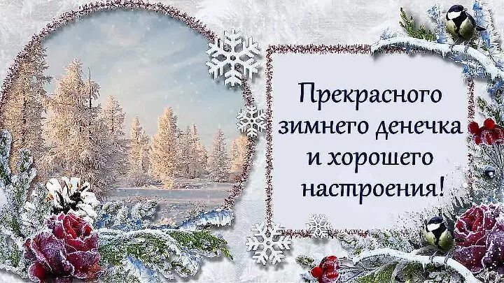 Картинки с зимней субботой с пожеланиями. Хорошего зимнего денечка. Доброго зимнего дня. Чудесного зимнего дня. Доброго зимнего субботнего дня.