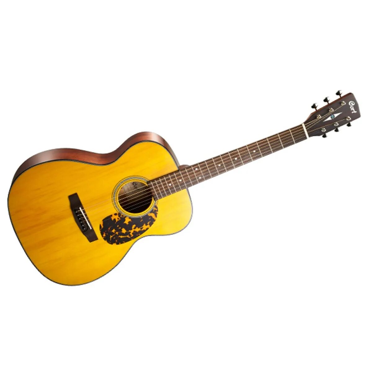 Гитара cort nat. Cort l300vf-nat. 0397530 trek nat parlor sg isyst. cort l100c ns отзывы.
